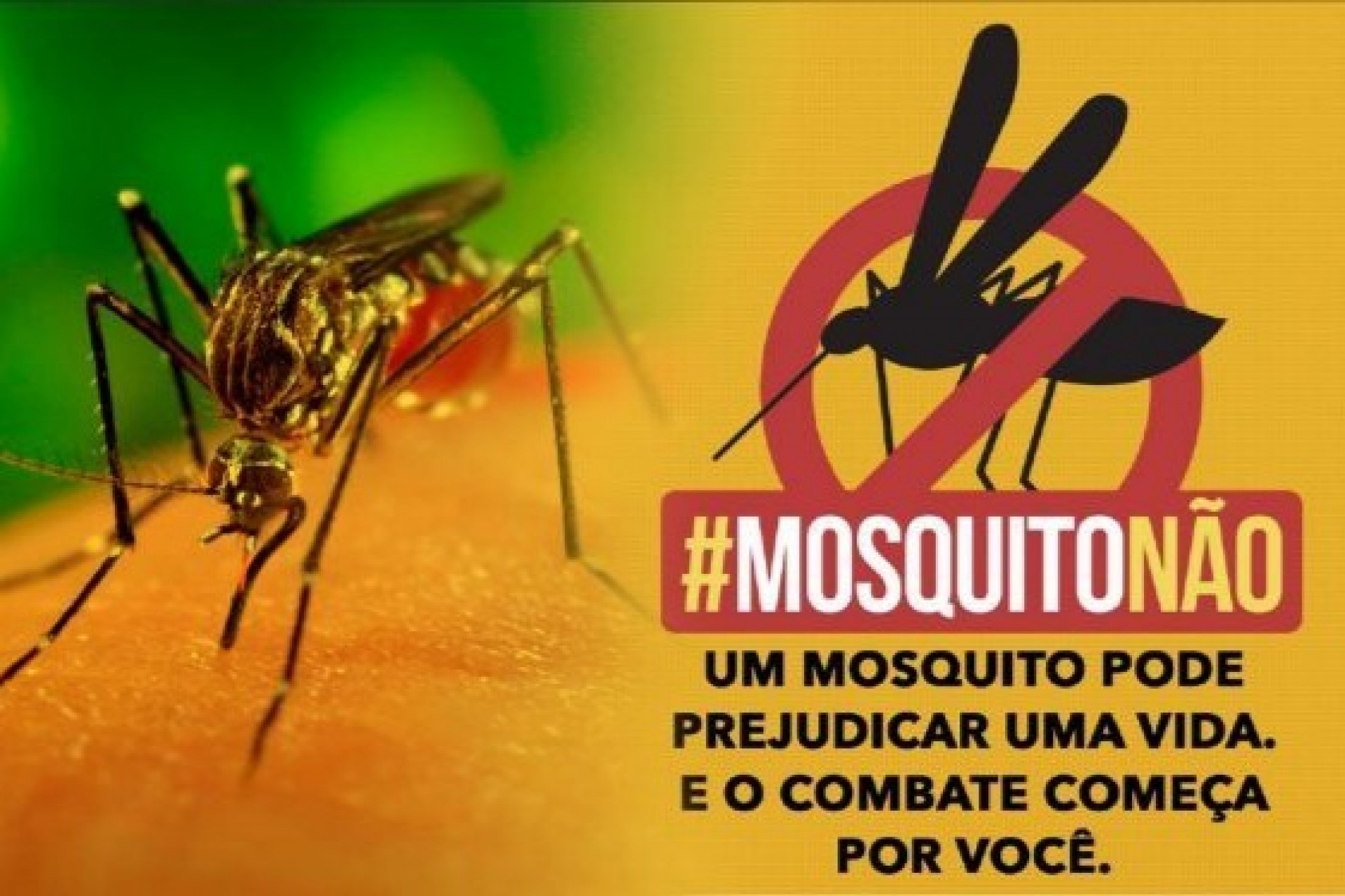 Administração Municipal de Missal convoca população para combate ao mosquito transmissor da dengue