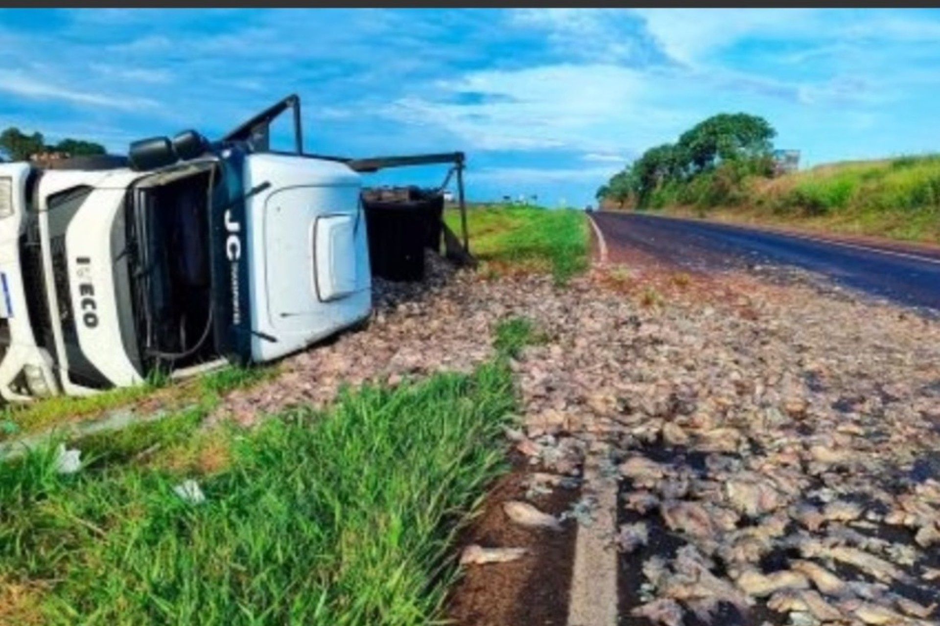 Carreta tomba e carga de peixe é espalhada na BR-163, em Cascavel