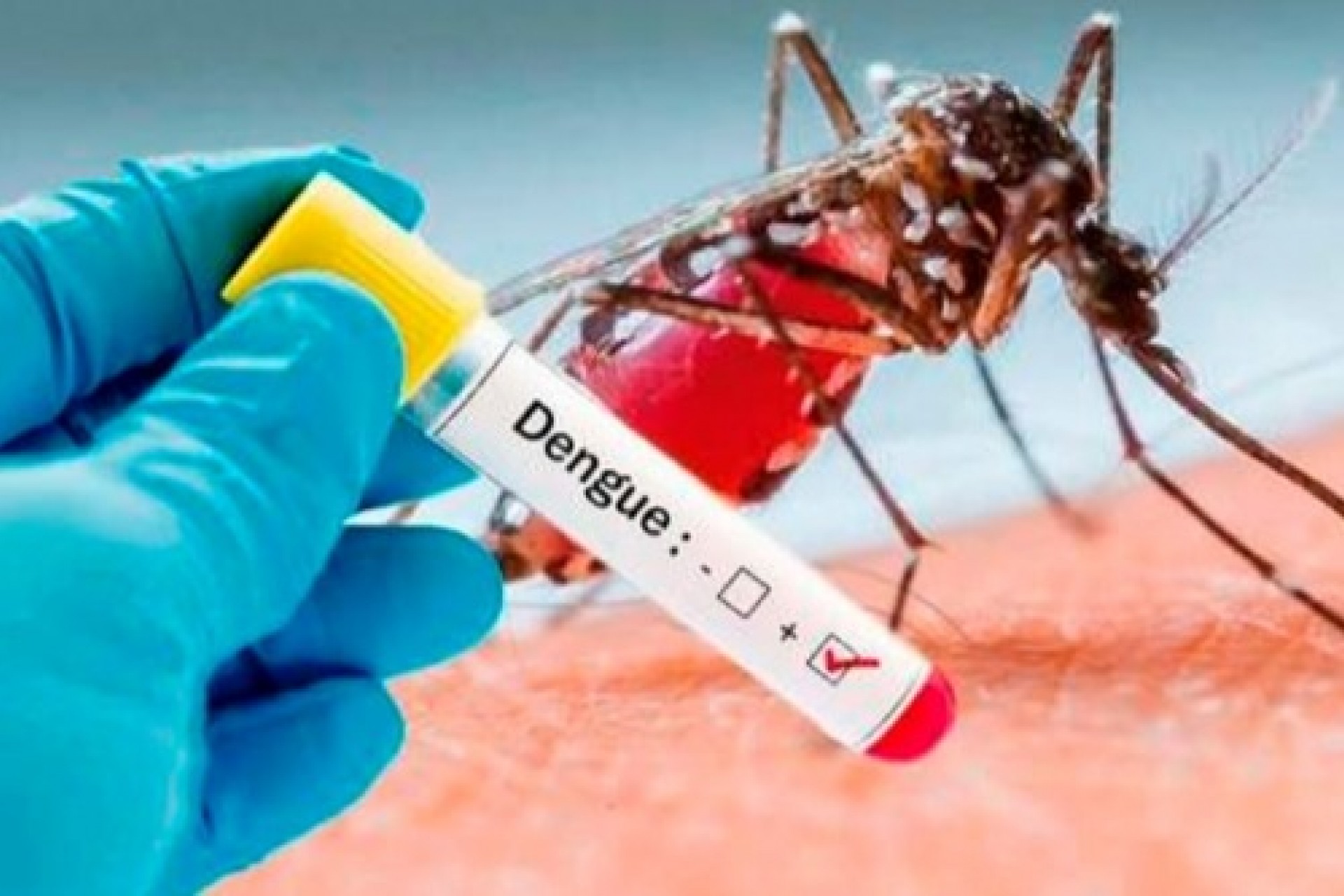 Casos de dengue aumentam em Missal e número de criadouros encontrados preocupa