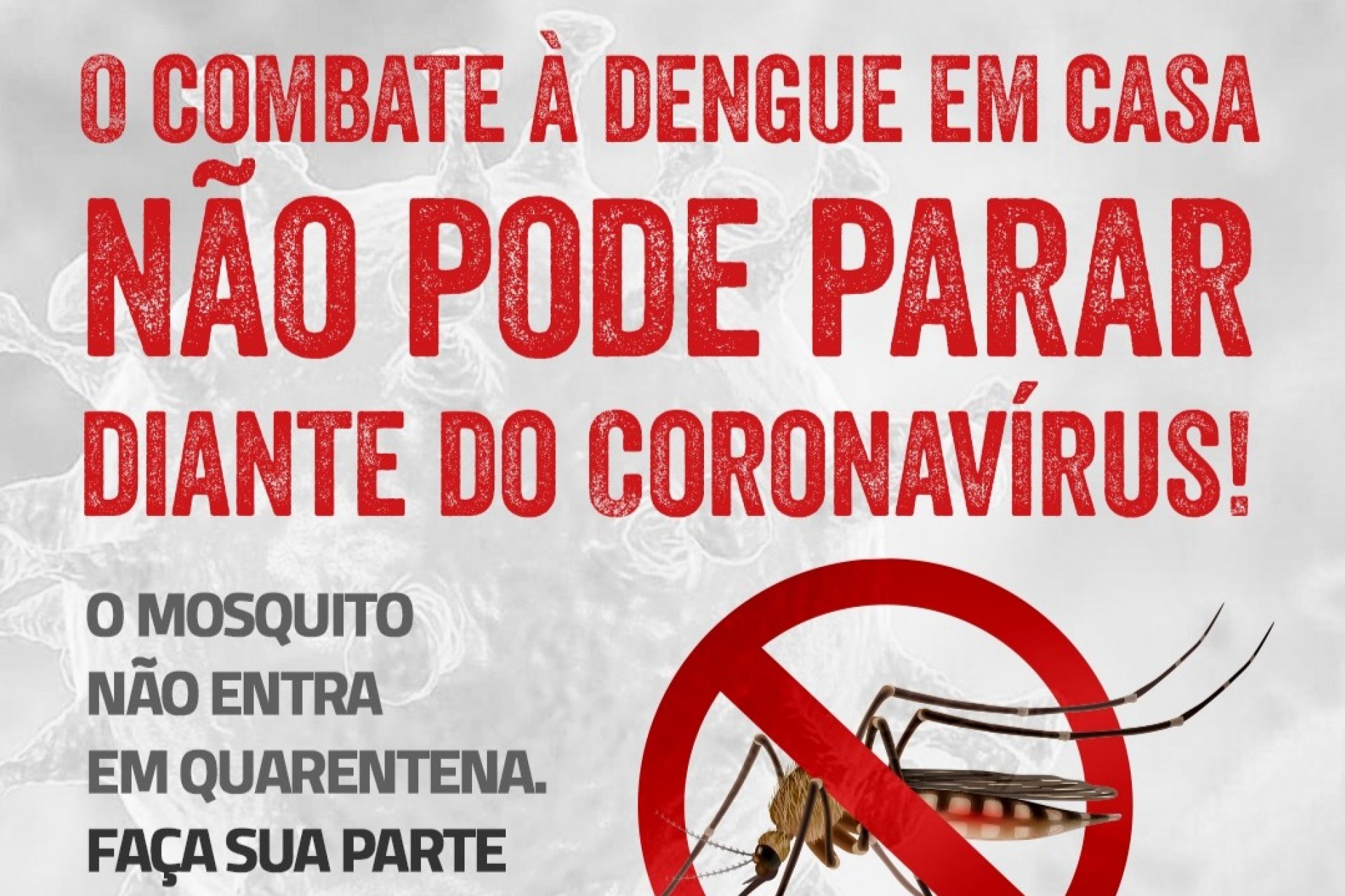 Missal confirma 249 casos positivos de dengue no ano