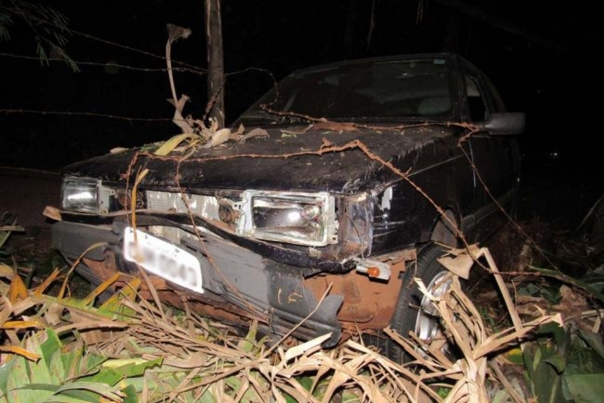 Uno colide contra pés de bananeira nas proximidades da ‘Curva do Ogregon’ em Santa Helena