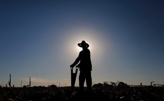 Adesão obrigatória da nota fiscal eletrônica do produtor rural é prorrogada para julho