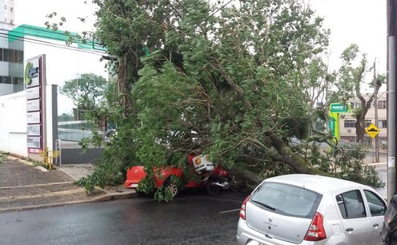 Chuva causa prejuízos em Foz do Iguaçu