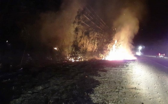 Defesa Civil de Missal e Corpo de Bombeiros controlam incêndio à margem da PR 495