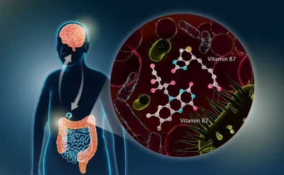 Parkinson: cientistas japoneses descobrem ligação da doença com bactérias do intestino; entenda