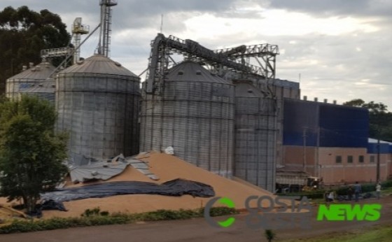 Silo cede e grãos de trigo ficam espalhados