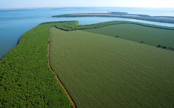 Unesco reconhece áreas da margem brasileira de Itaipu como reserva da biosfera