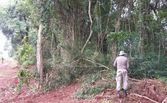 Vereador de Serranópolis do Iguaçu é preso por suspeita de crime ambiental